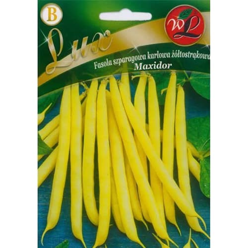 Pupu punduris Maxidor interface.image 1 interface.art 96818