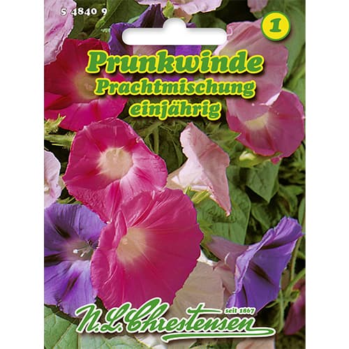 Purpursarkanās ipomejas, maisījums interface.image 1 interface.art 86178