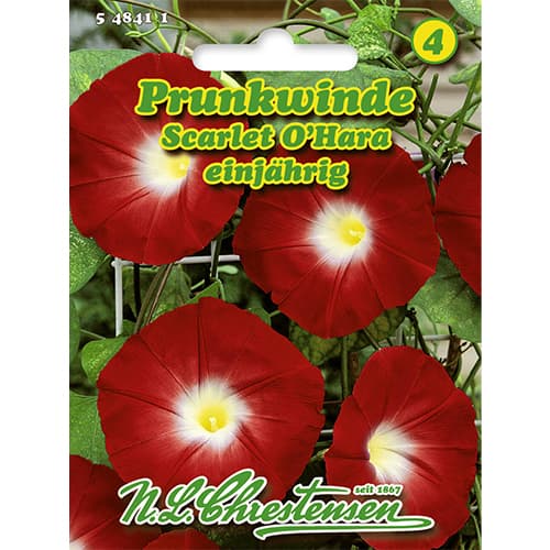 Purpursarkanās ipomejas Scarlet O`Hara interface.image 1 interface.art 86179