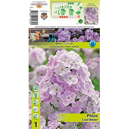 Płomyk (Floks) Cool Water interface.image 1 interface.art 77835