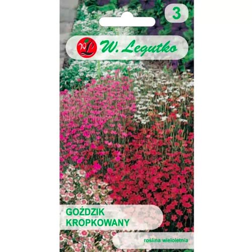 Raibās neļķes, maisījums Legutko interface.image 1 interface.art 50100