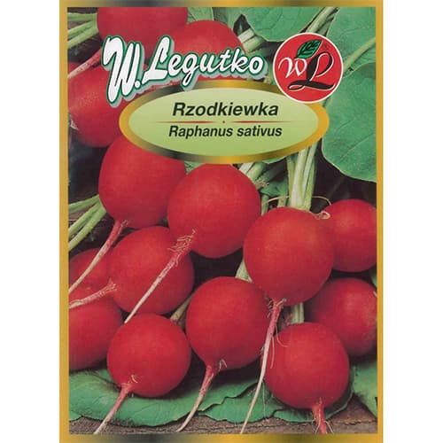 Redīsi Carmen interface.image 1 interface.art 69535