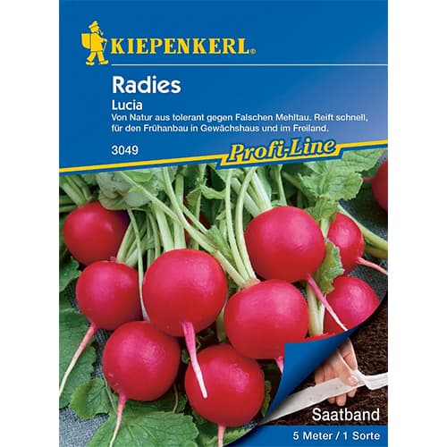 Redīsi Lucia F1 interface.image 1 interface.art 86510