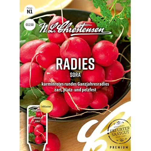 Redīsi Sora interface.image 1 interface.art 78736