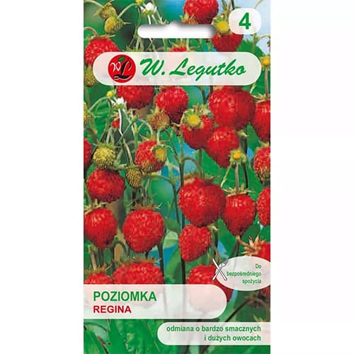 Regina zemene interface.image 1 interface.art 86894