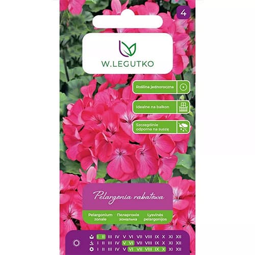 Robeža pelargonija Gama F1 - rozā krāsā interface.image 1 interface.art 69621