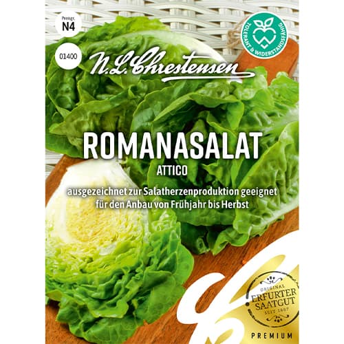 Romiešu salāti Attico interface.image 1 interface.art 86092