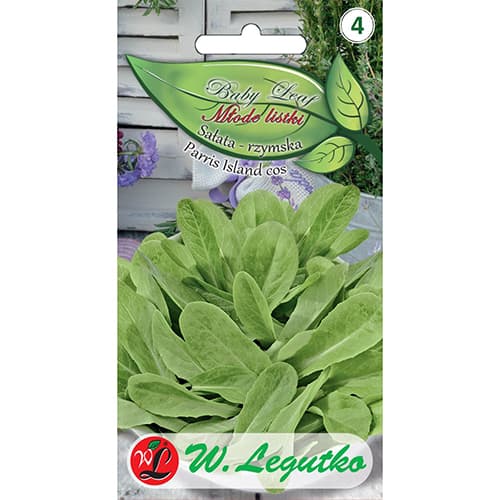 Romiešu salāti Parris Island cos - Baby Leaf interface.image 1 interface.art 86714