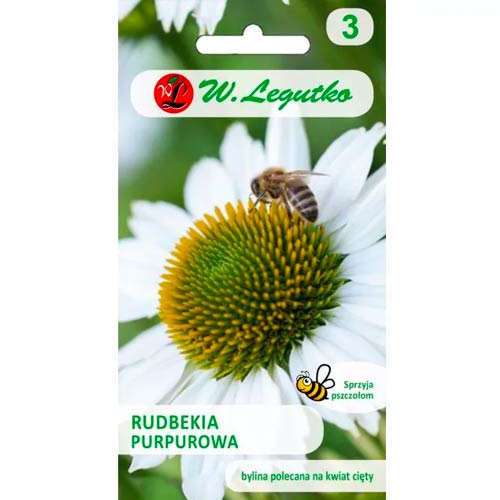 Rudbekijas balts Legutko interface.image 1 interface.art 96761