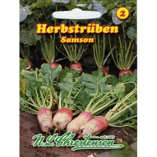 Rudens rāceņi Samson interface.image 1 interface.art 96476