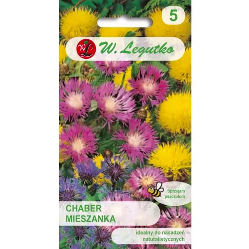 Rudzupuķu violetinė, jaukt Legutko interface.image 1 interface.art 86804