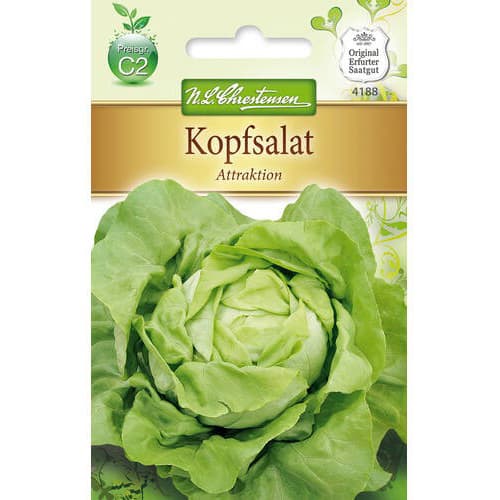 Salātgalviņas Attraktion Chrestensen interface.image 1 interface.art 78768