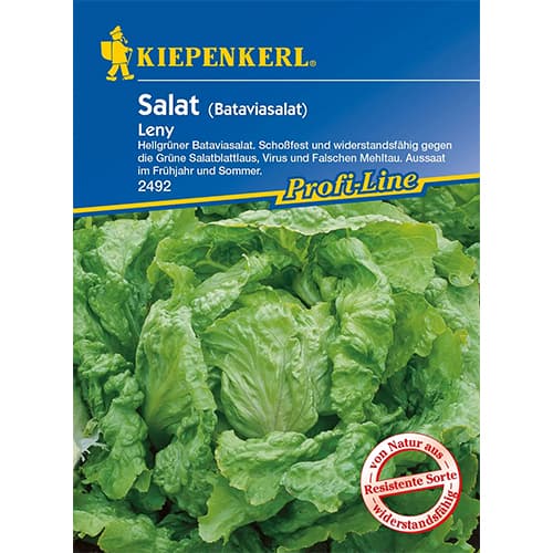 Salātgalviņas Leny interface.image 1 interface.art 96595