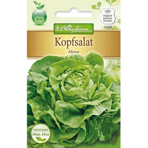 Salātgalviņas Mona interface.image 1 interface.art 78771