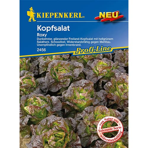 Salātgalviņas Victoria Kiepenkerl interface.image 1 interface.art 96627