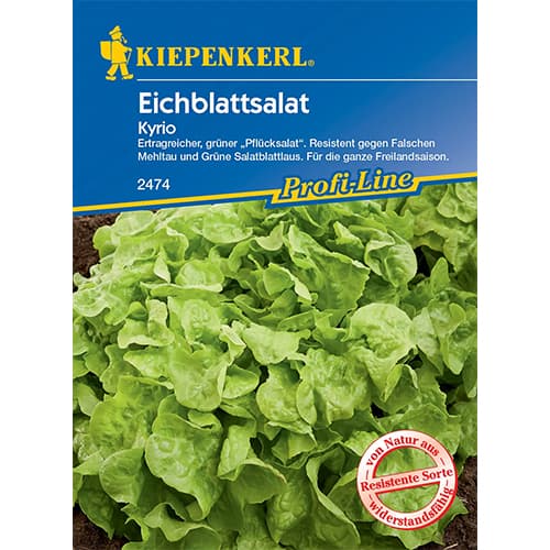 Salātlapas Kyrio interface.image 1 interface.art 96609