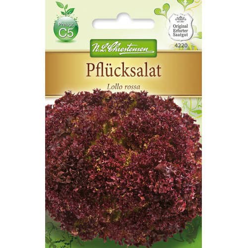 Salātlapas Lollo Rossa interface.image 1 interface.art 78779