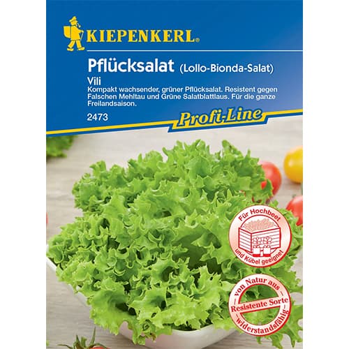 Salātlapas Vili interface.image 1 interface.art 96649