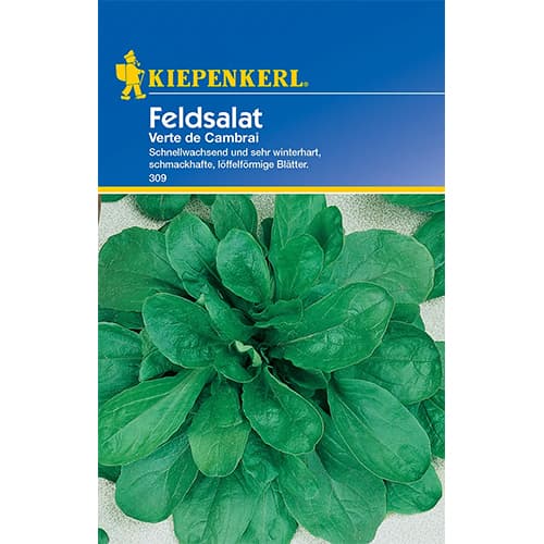 Salātu baldriņš Verte de Cambrai interface.image 1 interface.art 77493