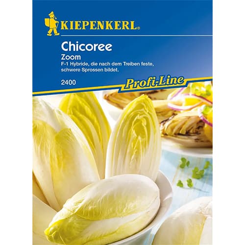 Salātu cigoriņi Zoom F1 interface.image 1 interface.art 86424