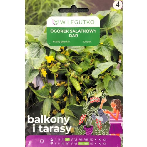 Salātu gurķis Dar interface.image 1 interface.art 69647