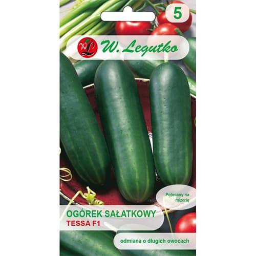Salātu gurķis Tessa F1 interface.image 1 interface.art 86884