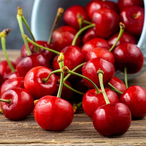 Saldais ķirsis Lydia, С2 interface.image 1 interface.art 7967