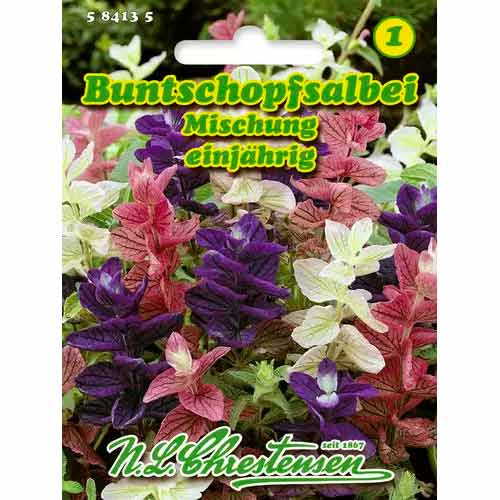 Salvija, maisījums Chrestensen interface.image 1 interface.art 50032