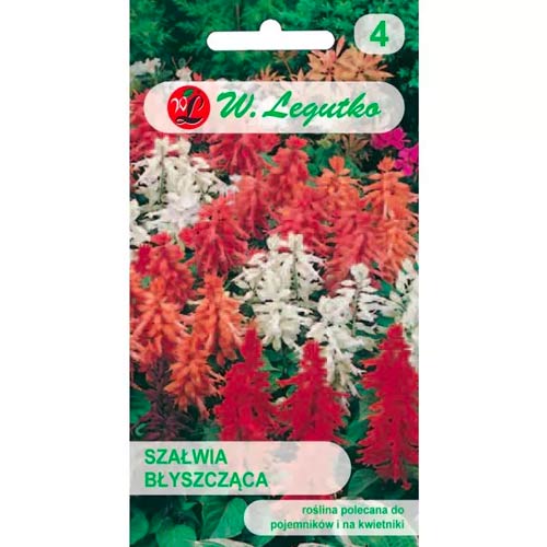 Salvijas spīdīga, maisījums Legutko interface.image 1 interface.art 78592