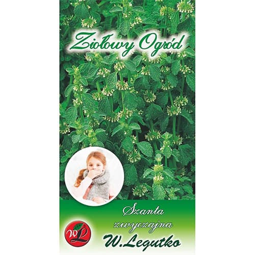 Salvijas zaļš interface.image 1 interface.art 69689