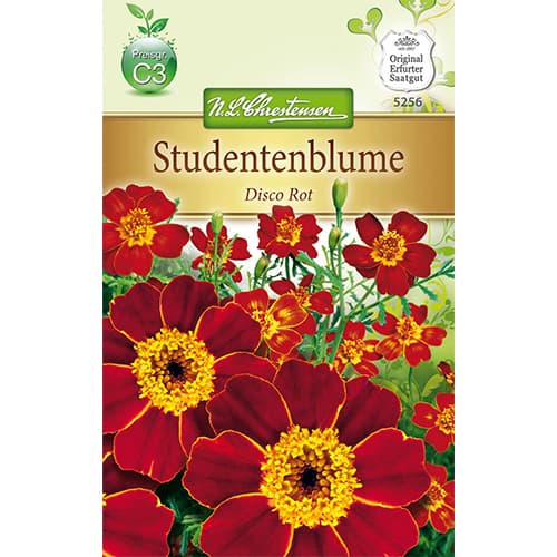 Samtenes Disco Rot interface.image 1 interface.art 78745