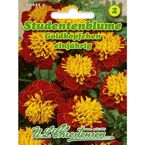 Samtenes Goldköpfchen interface.image 1 interface.art 86207