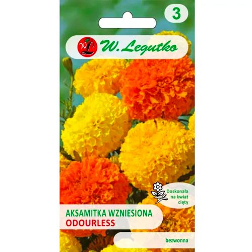 Samtenes Hohe, maisījums Legutko interface.image 1 interface.art 50080