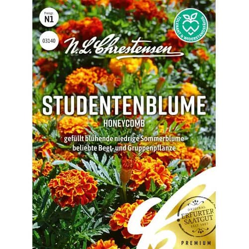 Samtenes Honeycomb interface.image 1 interface.art 96455