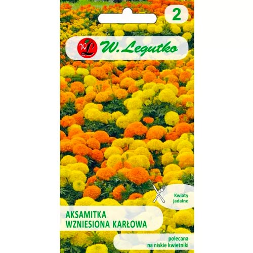 Samtenes kaktusas, maisījums Legutko interface.image 1 interface.art 50081