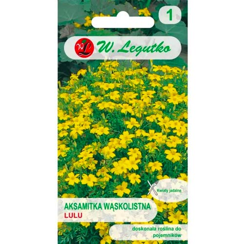 Samtenes Lulu Legutko interface.image 1 interface.art 78508