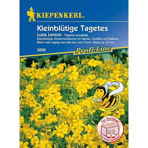 Samtenes Luna Lemon interface.image 1 interface.art 86347