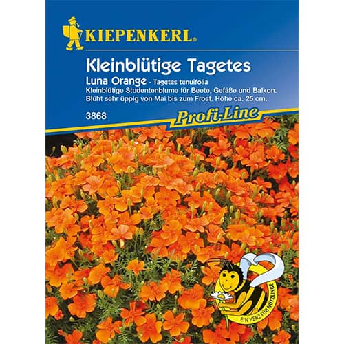 Samtenes Luna Orange interface.image 1 interface.art 86348