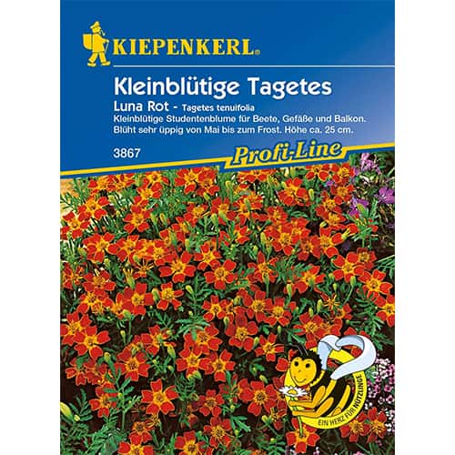 Samtenes Luna Rot interface.image 1 interface.art 86349