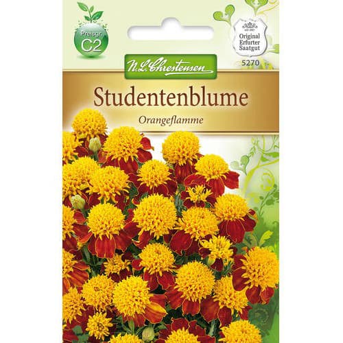 Samtenes Orangeflamme Chrestensen interface.image 1 interface.art 78941