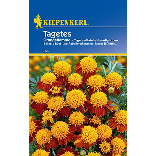 Samtenes Orangeflamme Kiepenkerl interface.image 1 interface.art 86542