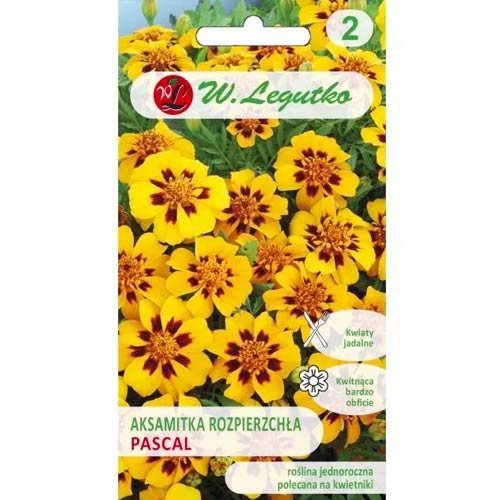 Samtenes Pascal Legutko interface.image 1 interface.art 96690