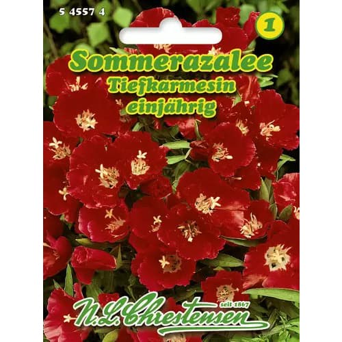 Sarkanas godēcijas interface.image 1 interface.art 96425