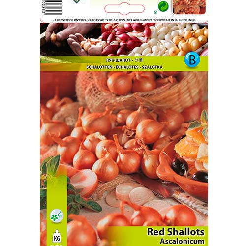 Sarkanās šalotes interface.image 1 interface.art 70499