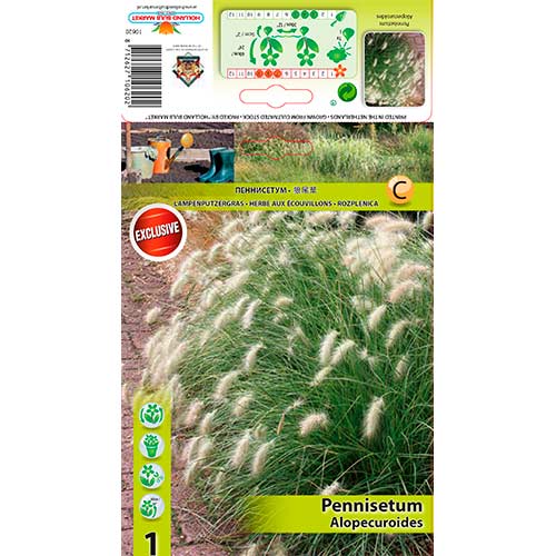 Sarzāle Alopecuroides interface.image 1 interface.art 76345