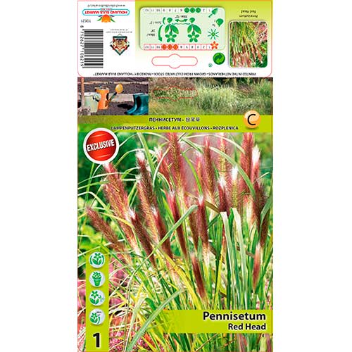 Sarzāle Red Head interface.image 1 interface.art 76346