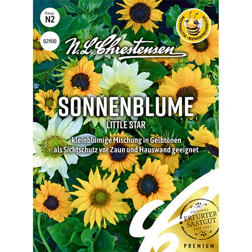 Saulespuķes Little Star interface.image 1 interface.art 86189