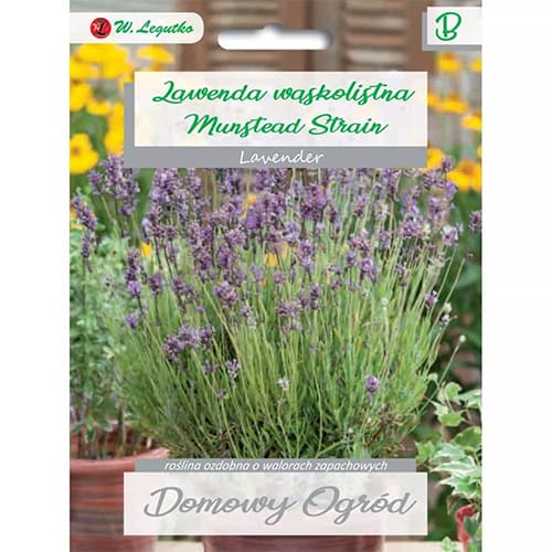 Šaurlapu lavanda Munstead Strain interface.image 1 interface.art 87120