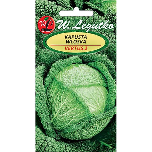 Savojas kāposti Vertus 2 interface.image 1 interface.art 78476