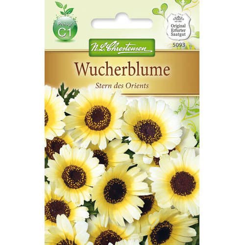 Sējuma krizantēmas interface.image 1 interface.art 78900